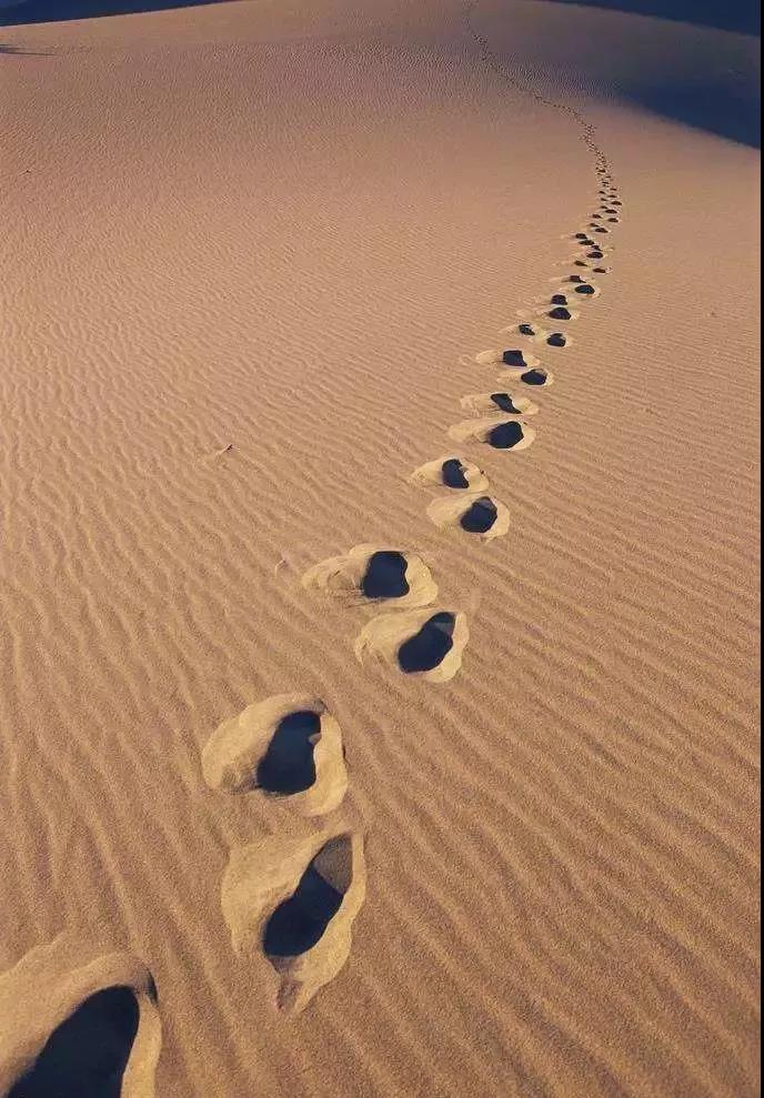 login_凤凰至尊(中国)-官方网站