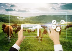 login_凤凰至尊(中国)-官方网站